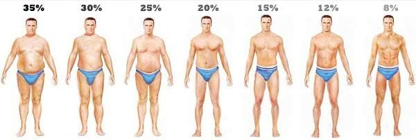Percentage lichaamsvet bij en vrouwen Wat is de
